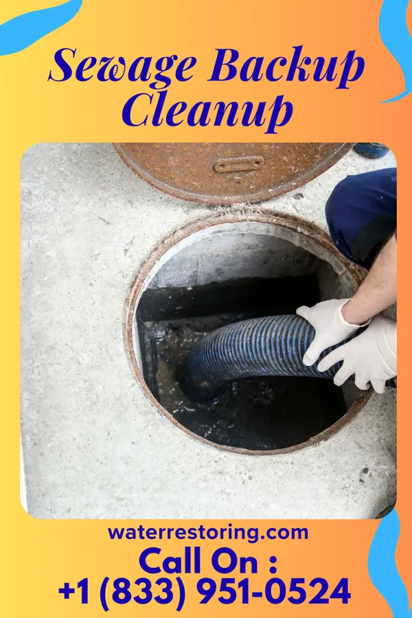 Sewage Backup Cleanup in Moulton, AL